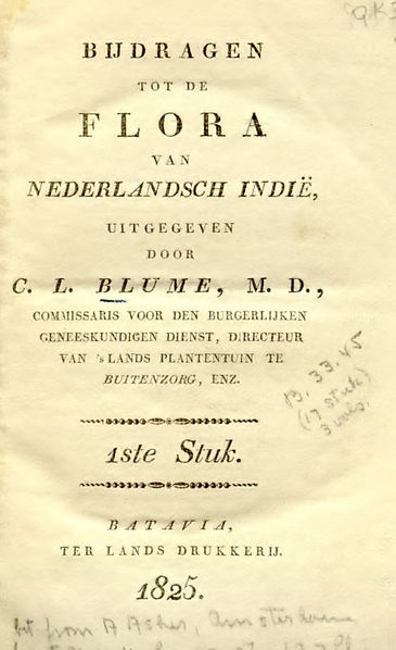 Flora van Nederlandsch Indië — Carl Ludwig Blume 1825, Gynostemma Erstbeschreibung, Titelseite