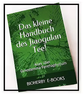 Jiaogulan Handbuch