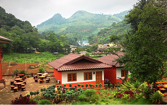 Bioherby Team Thailand — Bio-Zertifizierung und Qualitätssicherung vor Ort